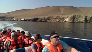 Les îles Ballestas  Guy Richer au Pérou avec Voyages Traditours [upl. by Yenmor849]