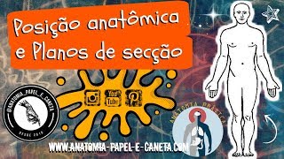 Introdução à Anatomia Humana  Posição Anatômica e Planos de Secção  Anatomia Prática [upl. by Sidalg118]