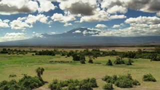 Echo and the Elephants of Amboseli Promo [upl. by Malcah]