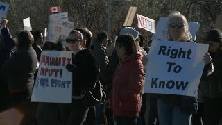 Protests held over Ottawas plan to house asylum seekers [upl. by Nylatsirhc906]