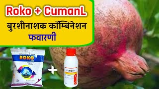 Roko  CumanL fungicide Combination  डाळिंब बागेसाठी Roko  CumanL फवारणी फायदे  Biostadt [upl. by Sucramat]