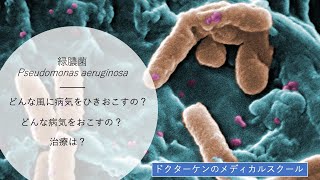 【だれでもわかる細菌学 第19回】緑膿菌 Pseudomonas aeruginosa [upl. by Halima]