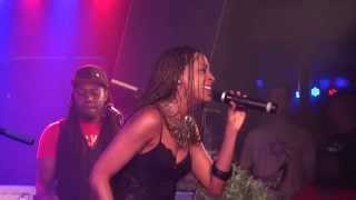 ALAINE live in Vienna 20140922 [upl. by Eetsud]