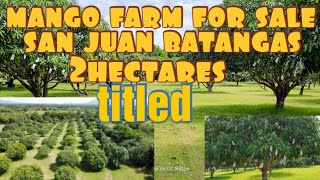 mango farm for salesan juan batangas2hastitled [upl. by Penn563]