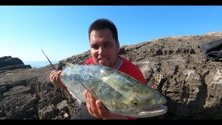 Topwater lure fishing  Leerfish 6kg Leccia Amia Lica [upl. by Ennaihs]