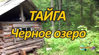 ТАЙГА  Черное озеро 1 из 2 [upl. by Atteiluj]