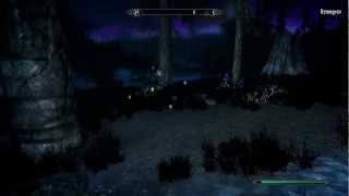 Lets Play Skyrim Part 402 quotPale Kaiserliches Militärlagerquot [upl. by Penthea]