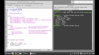 PythonProgrammierung  docopt  Auswerten der Befehle Argumente und Optionen [upl. by Audris]