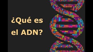 ¿Qué es el ADN [upl. by Lysander]