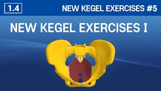 14 New Kegel Exercises Ⅰ  Easy amp Effective Kegel Exercises [upl. by Anauqed]