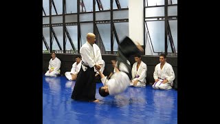 AIKIDO  Yamada Yoshikazu Shihan 7º Dan seminário 2007 [upl. by Ylloh]