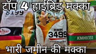 top 4 hybrid maize  टॉप 4 हाइब्रिड मक्का बीज  syngenta kaveri rasisrikar seeds [upl. by Kenzie]