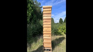 Reducing the Size of my Checkerboarded Hive [upl. by Akessej]