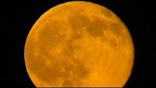 Miracle Testimonies amp Hunters Full Moon Astrology Oct 17 [upl. by Killigrew]