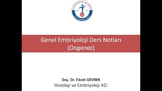 Oogenez Doç Dr Fikret GEVREK [upl. by Madelyn663]