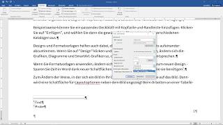 WORD Fußnote einfügen und formatieren  Tutorial Endnote Quellenangabe 10 [upl. by Moya]