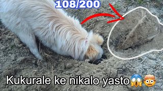 kukurale ke nikalo yesto 😱🤯 108200 Daley vlog [upl. by Vladimir]