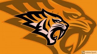 Tiger Logo Design I Animal Logo Design I Adobe Illustrator Tutorial [upl. by Schaffer]