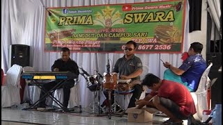 perawan kalimantan PRIMA SWARA MUSIC New 2022 [upl. by Egiarc]