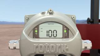 Rotork ELB with GasOverOil Actuators [upl. by Pol662]