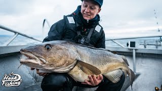 Cod Fishing in Norway  BEST Cod fishing in The World [upl. by Eila348]