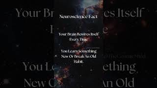 Your Brain Rewires Itself Every Time You Learn Something New Or Break An Old Habit DeepFact [upl. by Dolan]