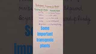 some important transgenic plants [upl. by Ennalyrehc]