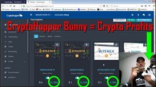 How To Trade Crypto amp Profit Using A CryptoHopper Bunny Trading Bot  Settings [upl. by Ramas]