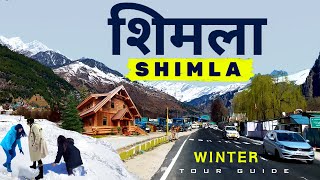 शिमला ट्रिप 2024  Shimla Tour Plan  Shimla Tourist Places  Shimla Snowfall  Shimla in January [upl. by Ahtiekahs]