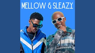 Mellow amp Sleazy  Bumjive 20 Official Audio [upl. by Fotinas]