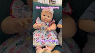 Our Playborns are ready for adoption at aliyahsplaybornworldcom reborndolls playborn reborn [upl. by Edelman787]