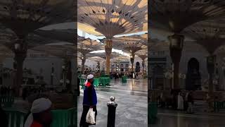 میں دیکھتا ہی رہوں بس تمہاری روضۃ trending youtubeshorts viralvideo naat islam [upl. by Adnat]