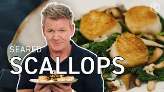 Gordon Ramsay Makes Seared Scallops  Cooking With Gordon  HexClad [upl. by Eduard]