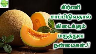 கிர்ணி பழம் சாப்பிடுவதால் கிடைக்கும் நன்மைகள் kirni fruit benefits in tamilmuskmelonsummerfruit [upl. by Beaulieu]