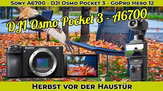 Sony A6700  DJI Osmo Pocket 3  First Touch  Fotowalk durch die herbstliche Heimat  Kein Review [upl. by Clapper]