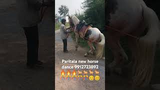 Paritala new horse 9912723892 🎉🎉🎉🎉🔥🔥🔥🔥😍😍😍😍👍👍👍👍 [upl. by Galatea27]