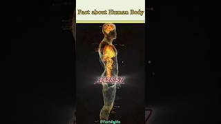 Facts about Human Body  Hindi Facts shorts facts factshumanbody [upl. by Aliekahs]