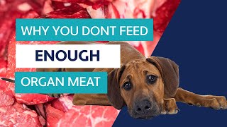 Does Your Raw Dog Food Have Enough Organ Meat [upl. by Tankoos]