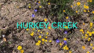 Hurkey Creek [upl. by Githens]