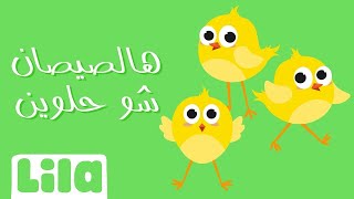 هالصيصان شو حلوين 🐥 ليلا تي في [upl. by Shandee408]