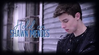 Hold On  Shawn Mendes Lyrics Video [upl. by Dnamron]