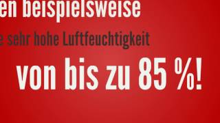 Gewächshausklima – Die optimale Luftfeuchtigkeit [upl. by Berriman]