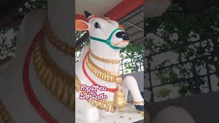 nandi gollaprolu pithapuram andhrapradesh lordshiva chagantikoteshwarrao [upl. by Falkner]