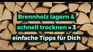 Brennholz lagern amp schnell trocknen » 3 einfache Tipps für Dich [upl. by Melitta]