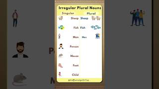 Irregular Plural Pronouns english singularplural shorts [upl. by Jegger262]