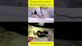 Paygambarimiz Muhammad sav 🔥 shoes uzkino shortvideos uzbekkino [upl. by Enrico]