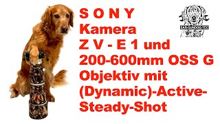 Sony ZVE1 Kamera und 200600mm OSS G Objektiv mit Dynamic Active Steady Shot Bildstabilisierung [upl. by Shutz]