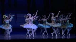 The Australian Ballet presents DON QUIXOTE [upl. by Virgil]