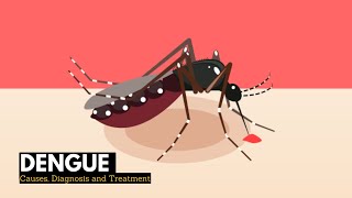 What is Dengue Causes Signs and Symptoms Diagnosis and treatment [upl. by Kennan]