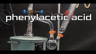 HOW TO MAKE PHENYLACETIC ACID [upl. by Wylma]